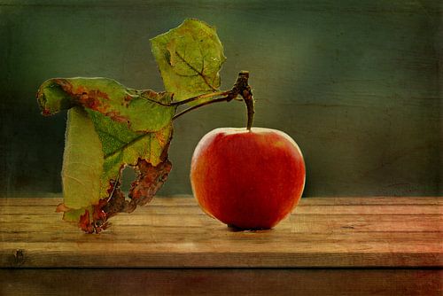 Apfelstillleben