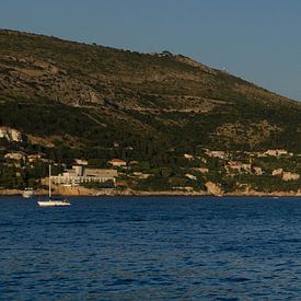 Panorama van de baai bij Dubrovnik. van Willem van den Berge
