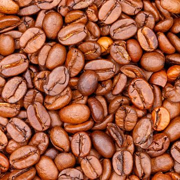 Geroosterde koffiebonen van de-nue-pic