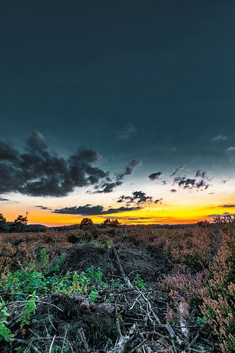 Sunset in the Palatinate