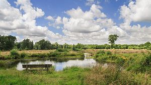 Teich mit Wolken von Mister Moret