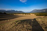 De Carcross-woestijn in Canada van Roland Brack thumbnail