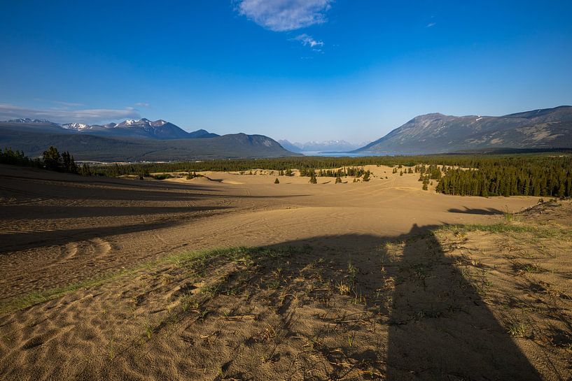 De Carcross-woestijn in Canada van Roland Brack
