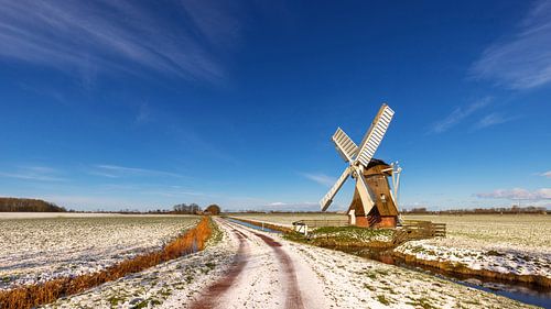 Molen 't Witte Lam Zuidwolde Groningen