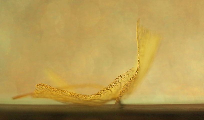 Edge of existence van ArtelierGerdah