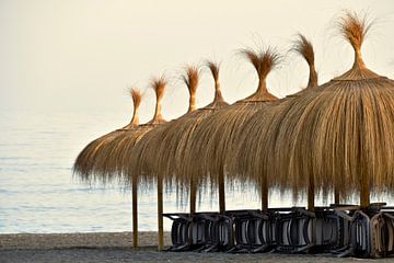 Vakantiekriebels aan het  strand van Torre del Mar