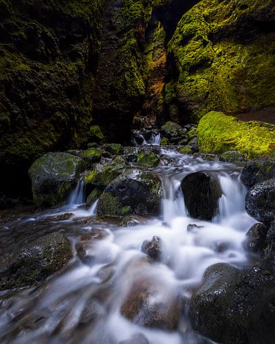 Rauðfeldsgjá est un ravin profond, haut et étroit...