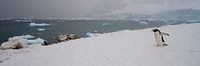 An overview from the mainland