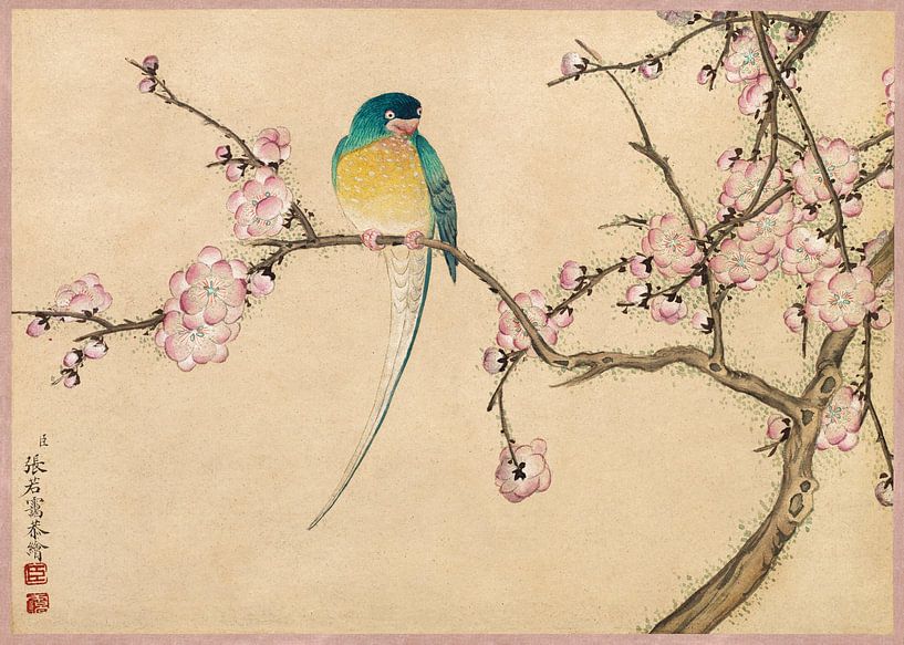 Vogel mit Pflaumenblüte, Zhang Ruoai, 18. Jahrhundert von Atelier Liesjes