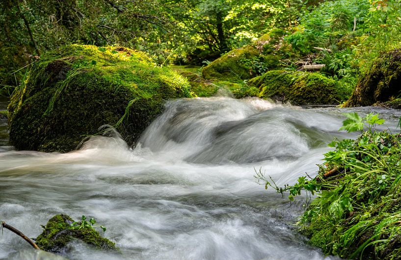 Rivière dans la vallée de la Trieb Vogtland Cascade Nature 02 par Animaflora PicsStock