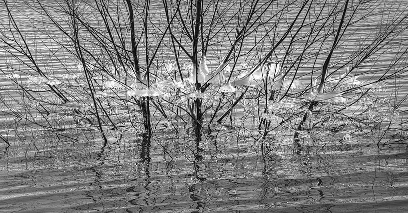 Natuurlijke Abstractie in  Ijsvormen van Peter Venema