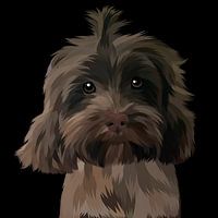 dunkelbrauner kleiner Hund