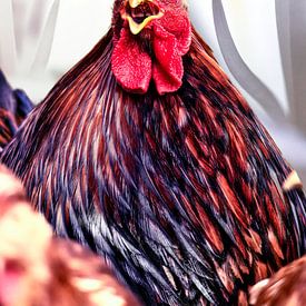 Rooster with the text: Chicken by Sara in t Veld Fotografie