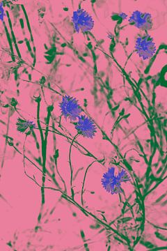 Korenbloemen in kobaltblauw, groen en roze. Retro stijl. van Dina Dankers