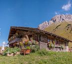 Berghütte auf dem Col de Aravis, La Clusaz, Haute-Savoie, Frankreich, von Rene van der Meer Miniaturansicht