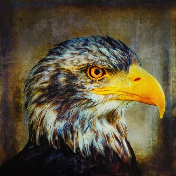 The Eagle von AD DESIGN Photo & PhotoArt