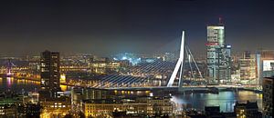 Panorama Erasmus Bridge
