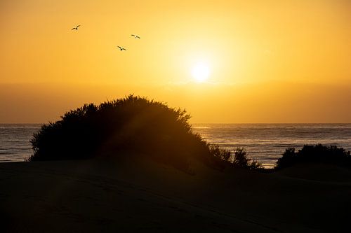Lever de soleil sur les dunes