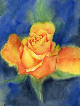 Rose in leuchtendem orange