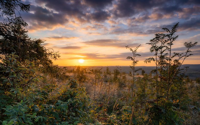 La nature dans le Harz par Steffen Henze