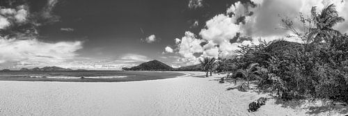 Tropisch Caribisch strand in zwart en wit