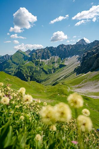 Bloemrijk uitzicht op de Hochvogel en de Allgäuer Alpen