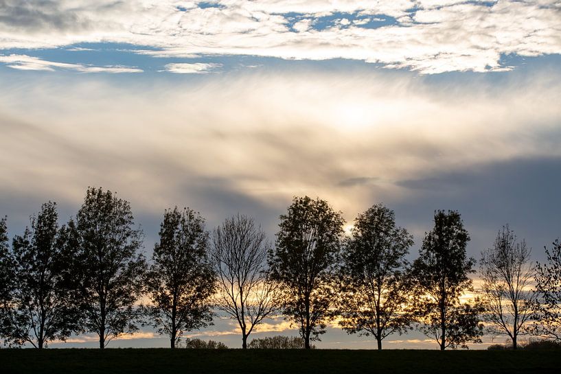 Rangée d'arbres avec un beau ciel par Floor Mommers