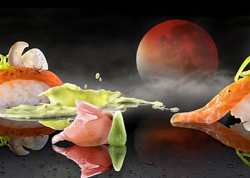 Sushi Design by Alex Neumayer