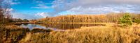 Bog lake in Drenthe