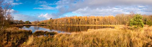 Lac de tourbière dans la Drenthe