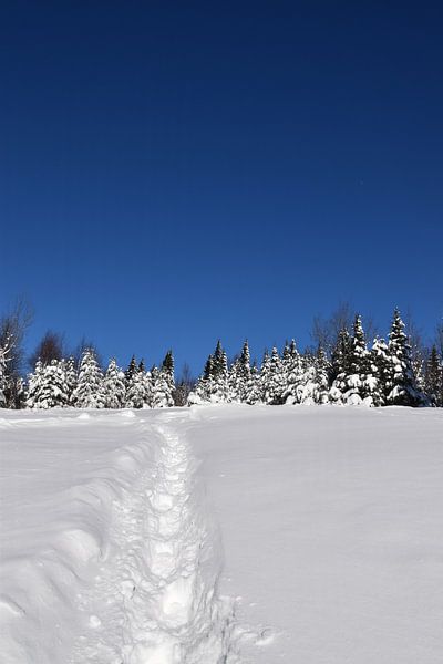 Footprints in the snow by Claude Laprise