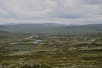 Hardangervidda, NORVÈGE