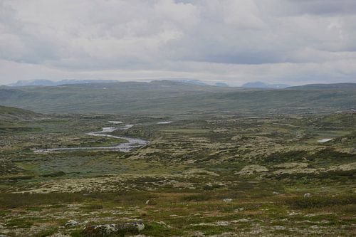 Hardangervidda, NORWAY