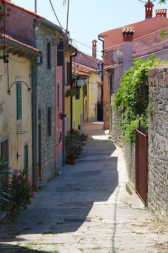 Wandel door een stad van kleur