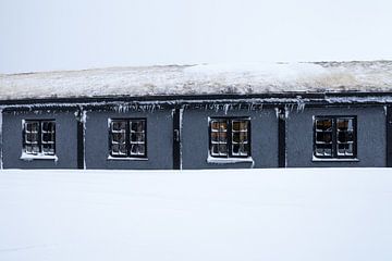 Ingesneeuwd von Irene Hoekstra