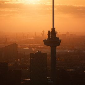 Euromast and port of Rotterdam by Vincent Fennis