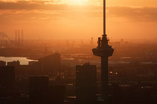 Euromast and port of Rotterdam by Vincent Fennis