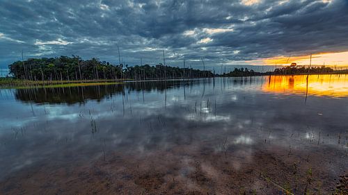 Lake Brokopondo in Suriname