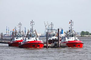 Schlepper-Station im Hafen, Altona, Hamburg, Norddeutschland, Europa