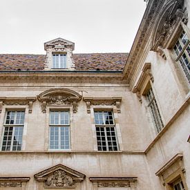 Hotel de Vogue in Dijon, Frankrijk van Martin Boerman