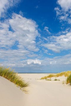 Strand met helmgras en mooie wolken op een zomerse dag van Anja Brouwer Fotografie