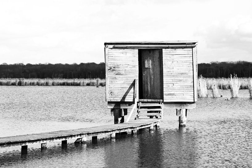 Open the door to the future! by Klaartje Hallet
