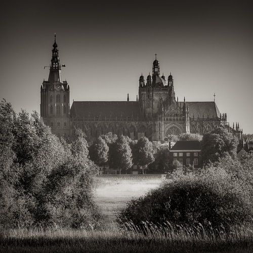 Cathédrale Saint-Jean