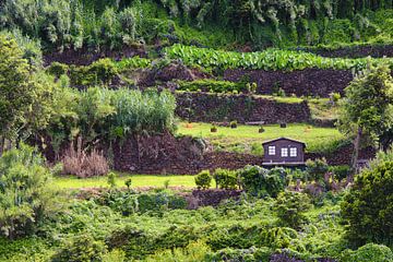 Garden cabin on hill sur Jan Brons