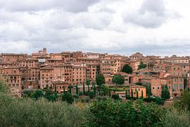 Lucques sur HelloHappylife