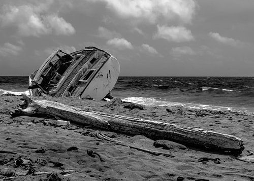 never arrived home von Rene van Mook