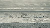 Surfers' paradise