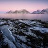 IJzig kustlandschap Lofoten, Noorwegen van Thom Brouwer