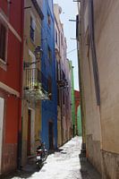 Colorfull Bosa