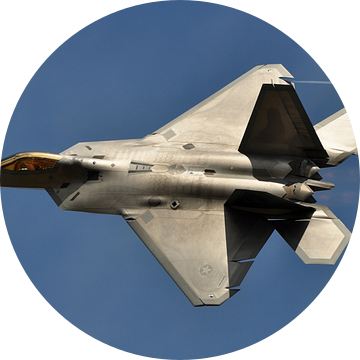 F-22 Raptor van Rogier Vermeulen